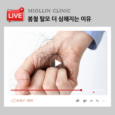봄철 탈모 더 심해지는 이유, 건강한 머릿결을 위해!