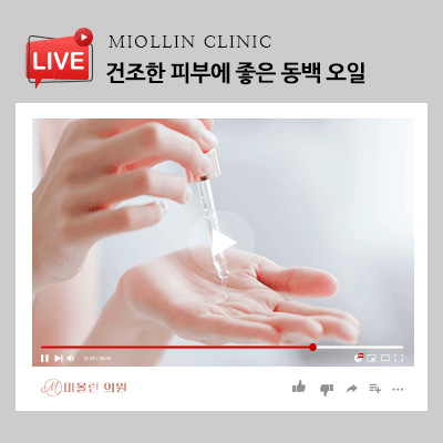 건조한 피부에 좋은 동백 오일 사용 방법 알아봐요