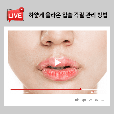 하얗게 올라온 입술 각질 관리 방법 실천해 보세요